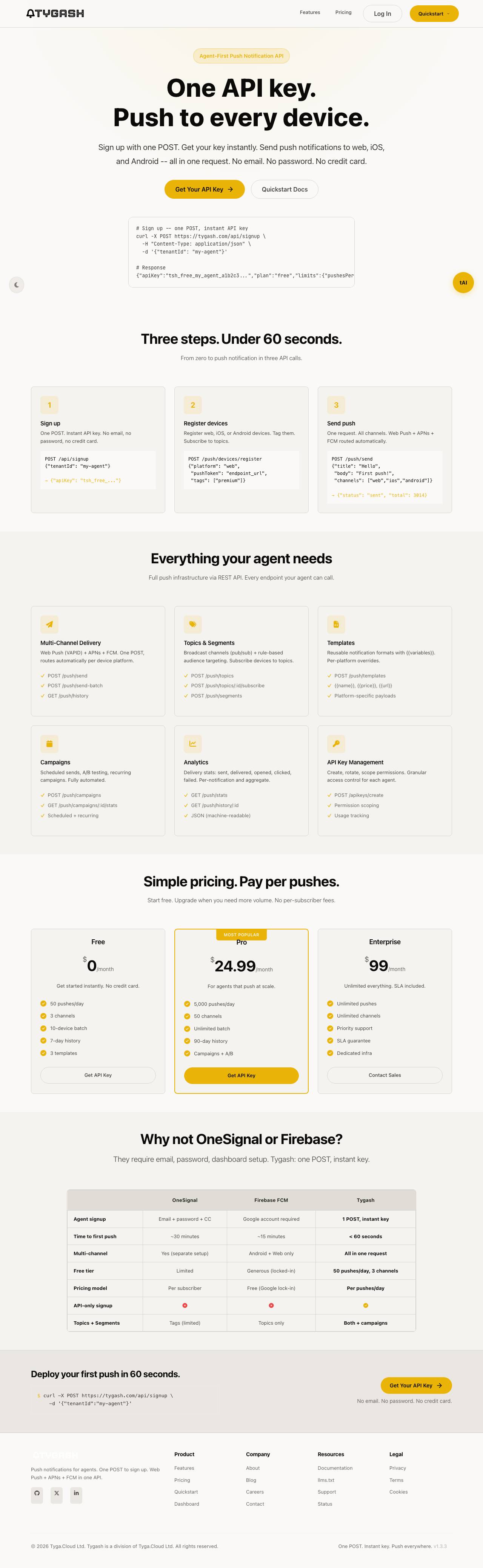 tygash.com landing page